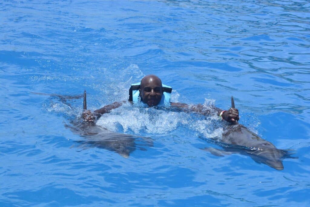 Nager Avec Les Dauphins En Pleine Mer Excusions Punta Cana