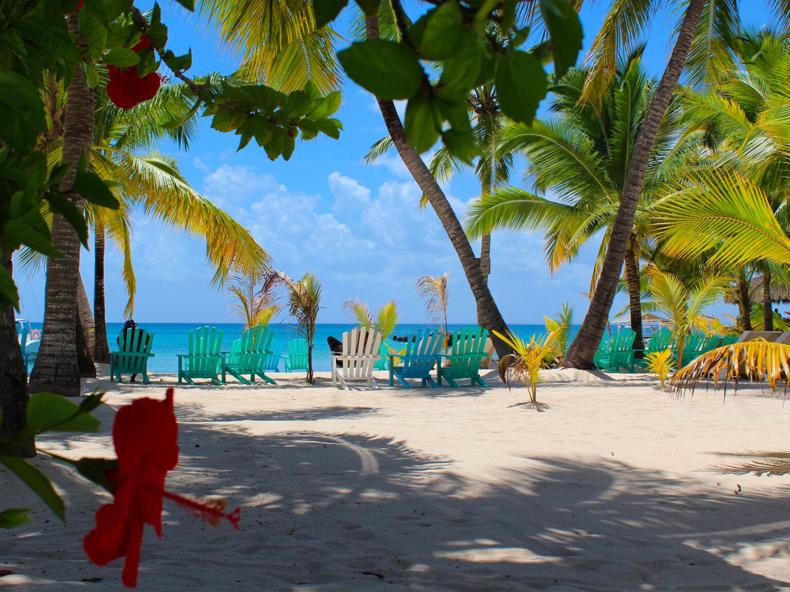 Excursion Île de Saona - République Dominicaine - Punta Cana- privé