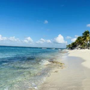 excursion-ile-de-catalina-privee
