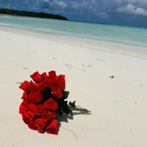 excursion-ile-de-saona-exclusive