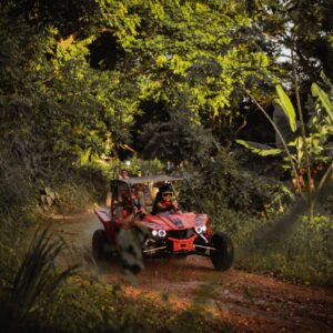balade en buggy