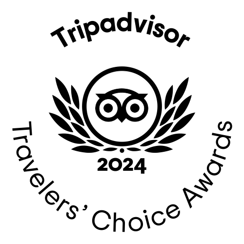tc white winner gif l 2024