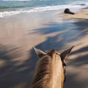 balade à cheval