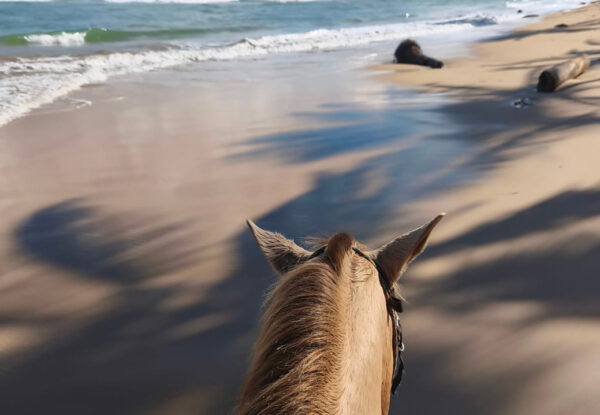 balade à cheval