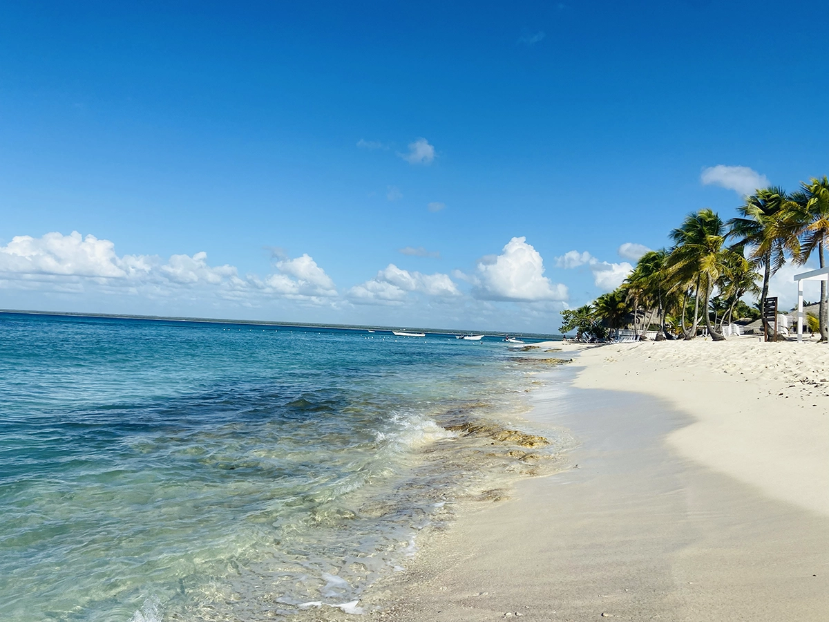 excursion île catalina privée catamaran