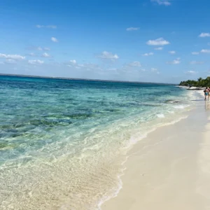 excursion île catalina privée catamaran