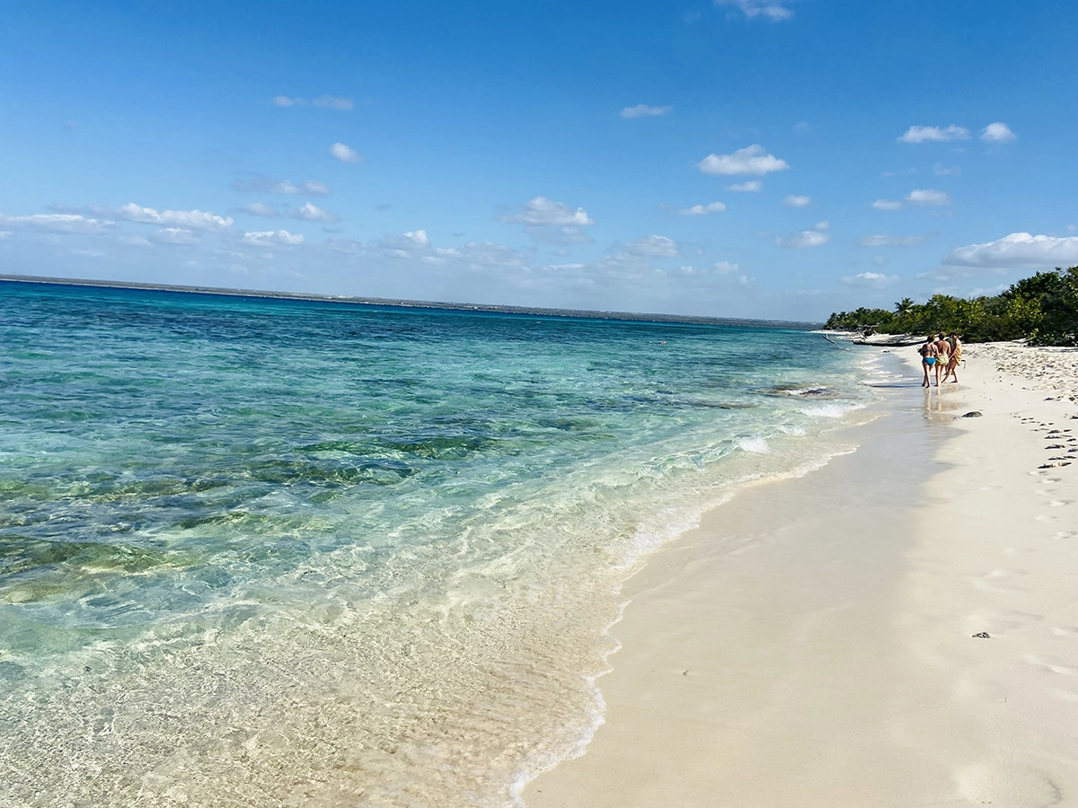 excursion île catalina privée catamaran