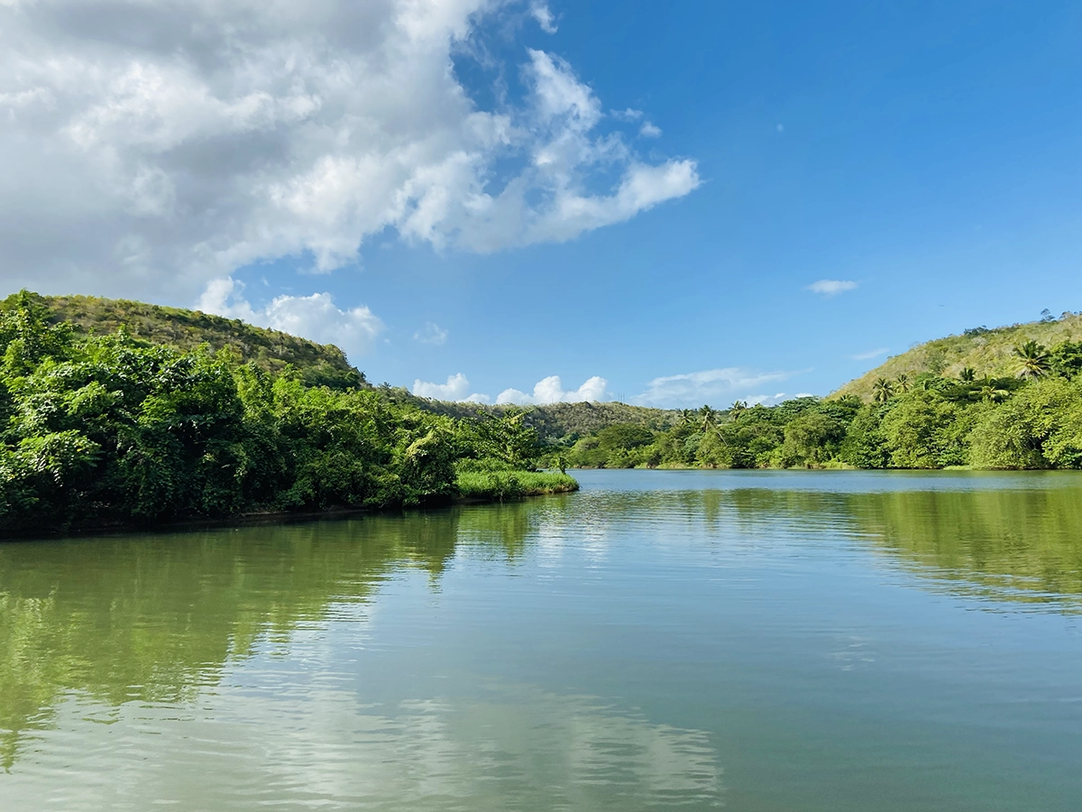 excursion île catalina privée catamaran