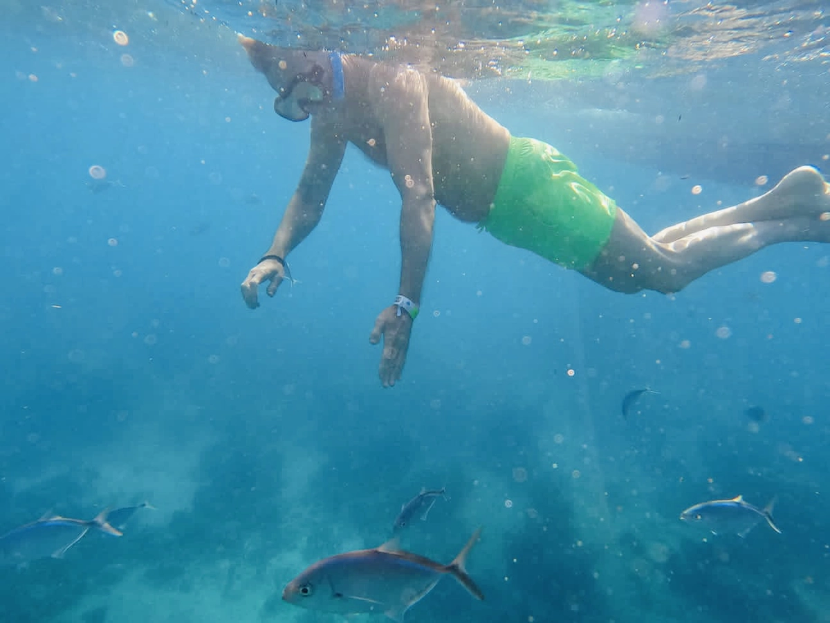 excursion île catalina privée catamaran