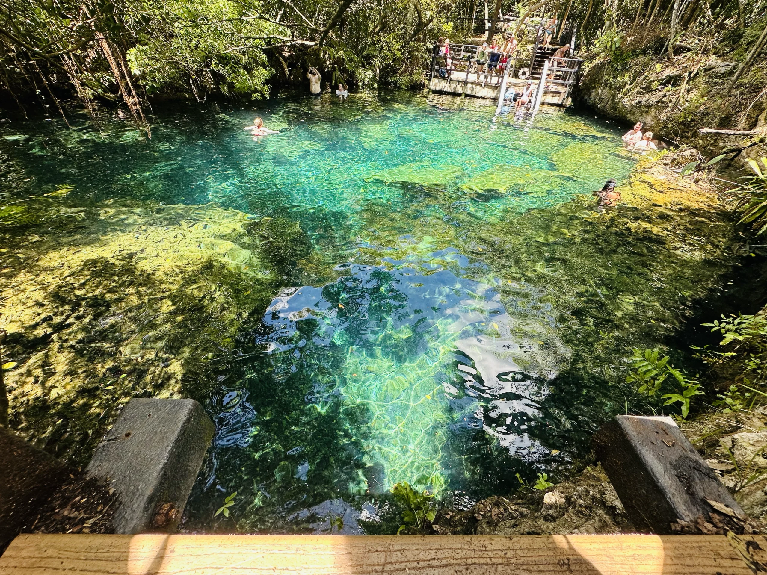 cenote 1