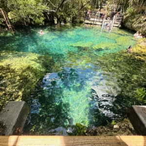 los ojos eco journey