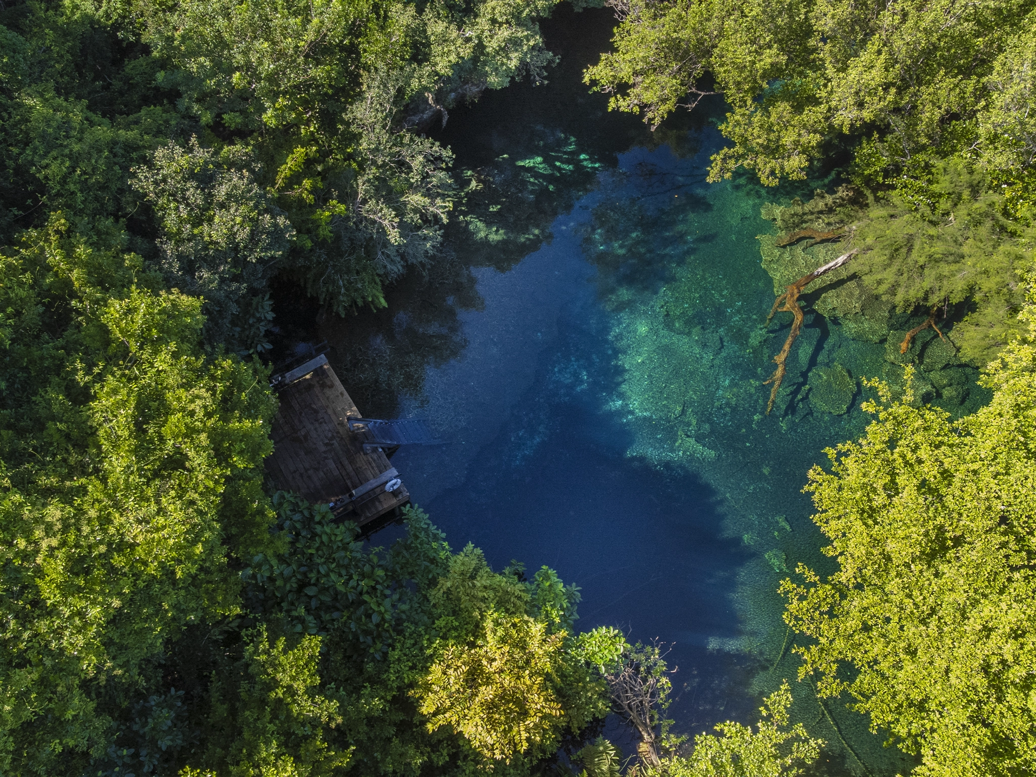 los ojos eco journey