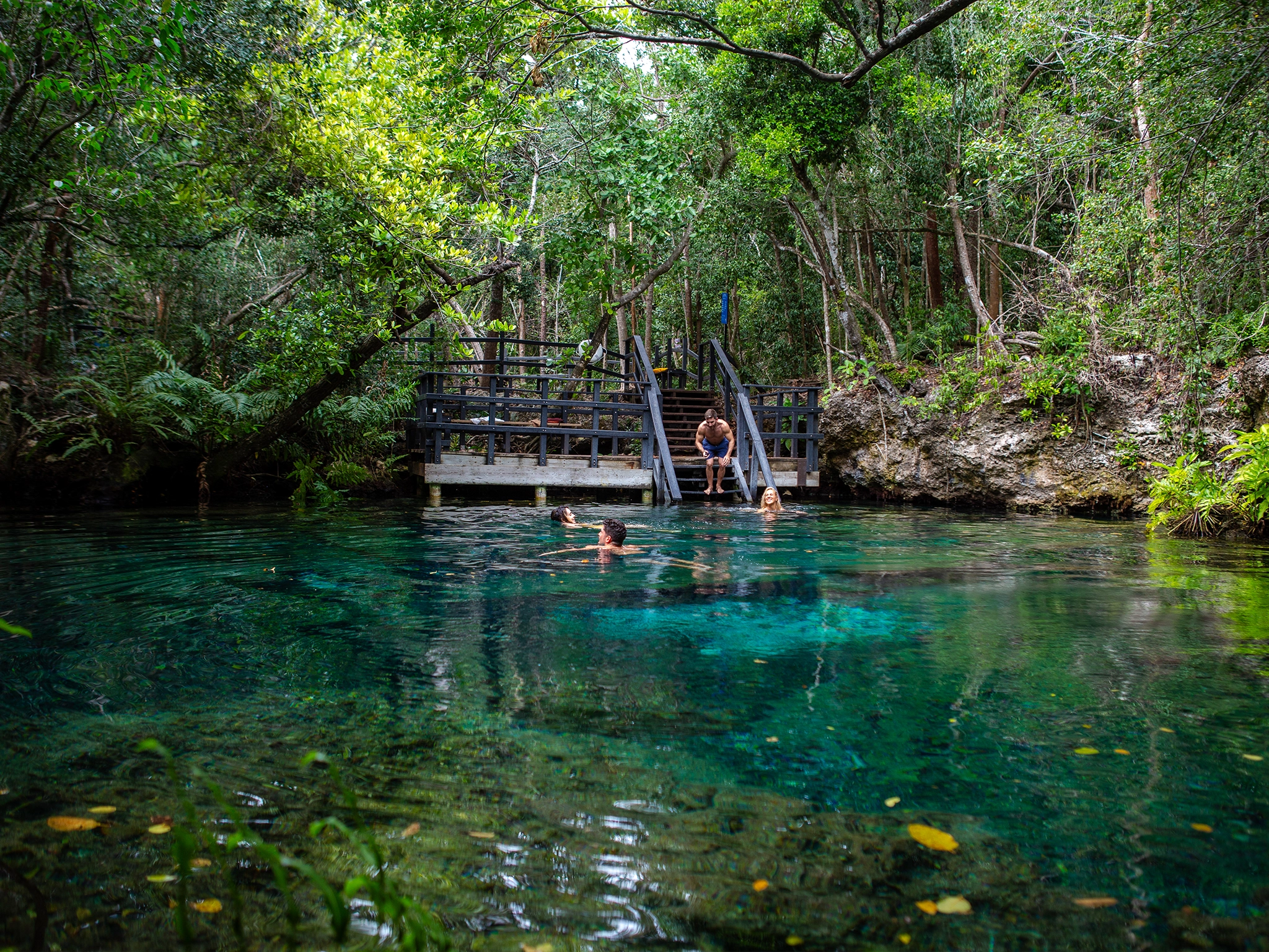 los ojos eco journey